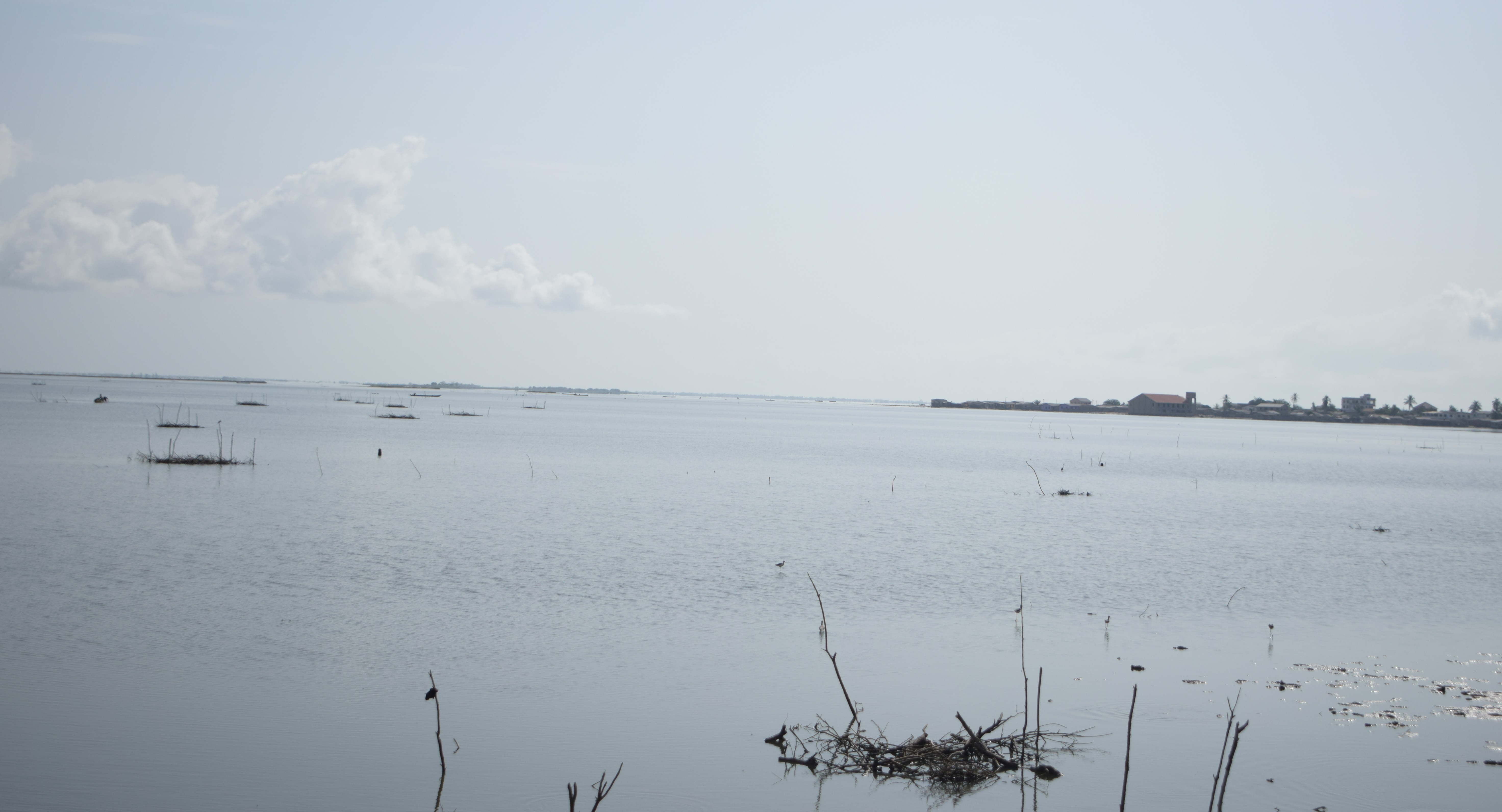 A section of the Keta Lagoon with the Anyako Community in the background 