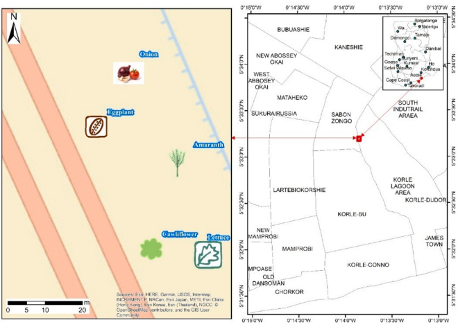 Accumulation Image