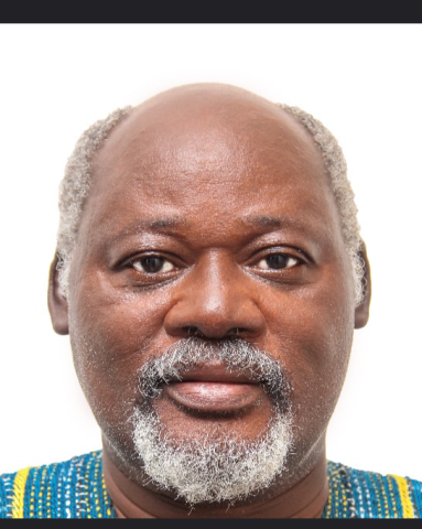 An IESS Faculty Member